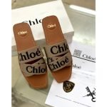 C Slides-Br